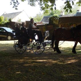 chariotte avec chevaux